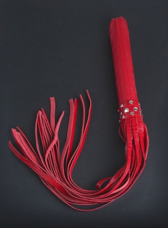 Плеть  Ракета  с красными хвостами - 65 см. от Sitabella