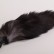 Силиконовая анальная пробка с длинным черным хвостом  Серебристая лиса от 4sexdreaM