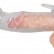 Насадка на пенис с клиторальным вибростимулятором Crystal Skin от Orion